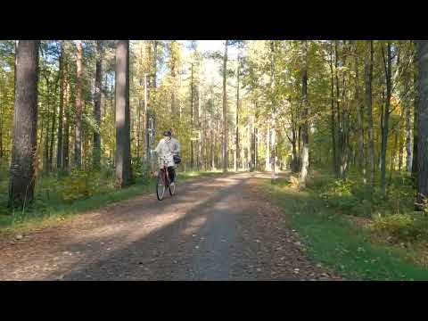 Видео: Первые дни октября.