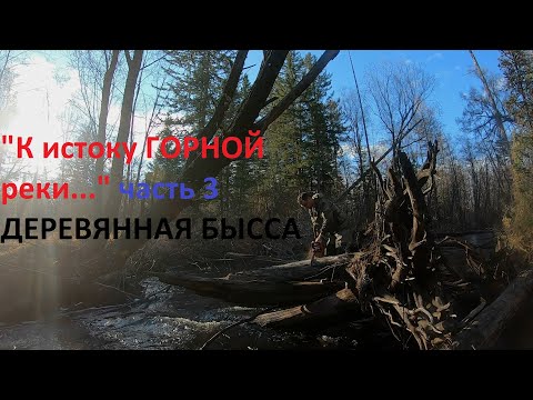 Видео: "К ИСТОКУ ГОРНОЙ РЕКИ..." часть - 3. ДЕРЕВЯННАЯ БЫССА!