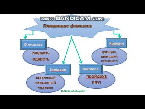 Видео: А.П.Чехов "Хамелеон". Смысл названия рассказа (урок русского языка и литературы в 6 классе)