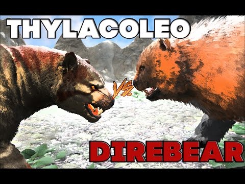 Видео: Битва в АРК | Тилаколео против Свирепого медведя | Thylacoleo vs DireBear
