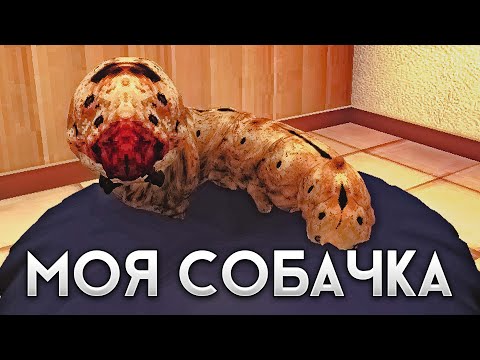 Видео: Инди-Обзор: это НЕ моя собачка... petsitting