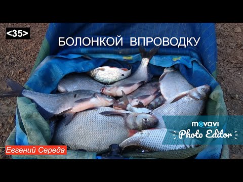 Видео: 35.  На болонку впроводку: оснастка, прикормка, техника.