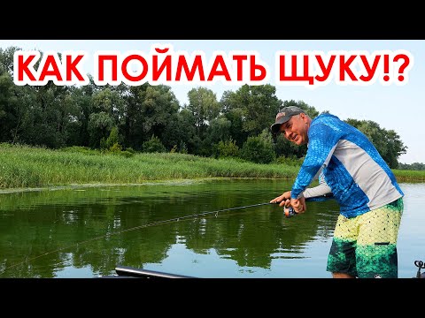 Видео: Рыбалка! Учимся ловить ЩУКУ летом!