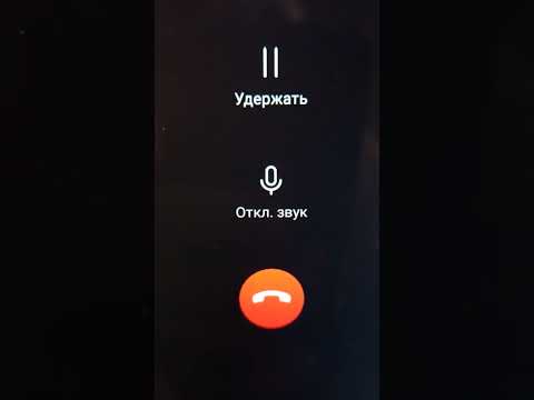 Видео: Позвонила мошня. разговор был СУПЕР!!!