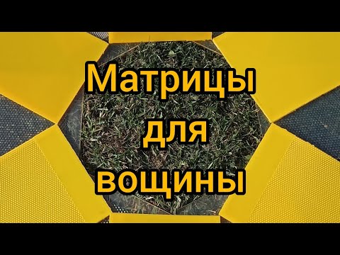 Видео: Матрица для вощины. Отзыв из Московской области #матрицадлявощины #живойсот