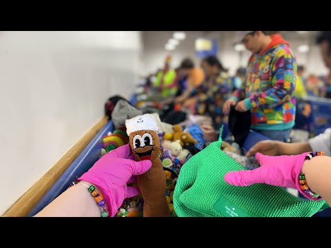 Видео: Улов Goodwill Bins: Кейт Спейд, ностальгический Стаффи и многое другое!