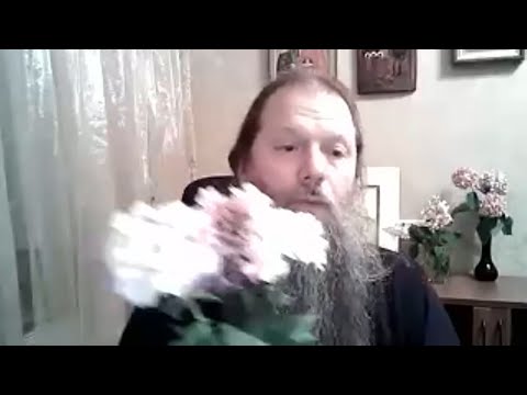 Видео: "О тайнах Успенского поста". Встреча прихожан  с  прот. Артемием Владимировым. Видеоконф. 150820.