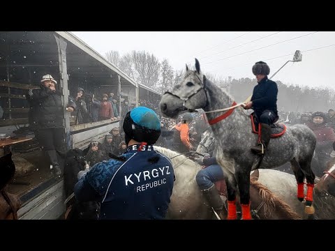 Видео: Бишкек (25-02-23) Болоттун улагы.