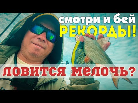 Видео: ЛОВИ как ПРОФИ!💥Берёшь эти снасти – ловишь ПЛОТВУ! Инструкция для 100% результата #мормышинг