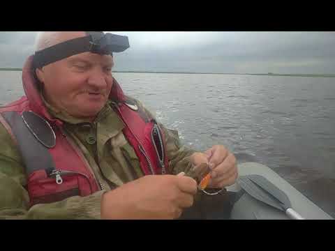 Видео: Река Ловать