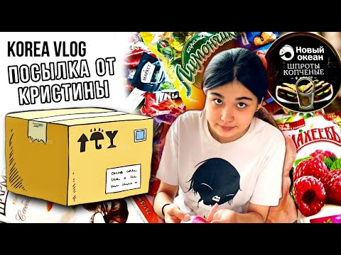 Видео: Неожиданная посылка от подписчицы/И…бедная Лиза…/KOREA VLOG