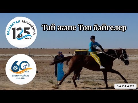Видео: Бәйге 28.09.2024 Жаңаөзен. Тай және Топ бәйгелер