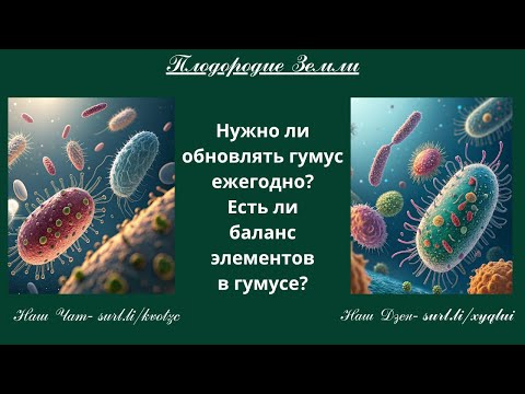 Видео: Новая информация о гумусе: обновление и баланс элементов №848/25