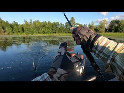 Видео: Рыбалка на СПИННИНГ с ЛОДКИ ЛЕТОМ! Ловля ОКУНЯ И ЩУКИ! Ловля на ВОБЛЕРЫ и ТЕЙЛ-СПИННЕРЫ!