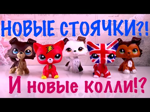 Видео: LPS: НОВЫЕ СТОЯЧКИ!? НОВЫЕ КОЛЛИ!? (РАСПАКОВКА #4)
