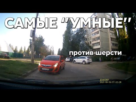 Видео: Подборка САМЫХ "УМНЫХ" водителей #1174