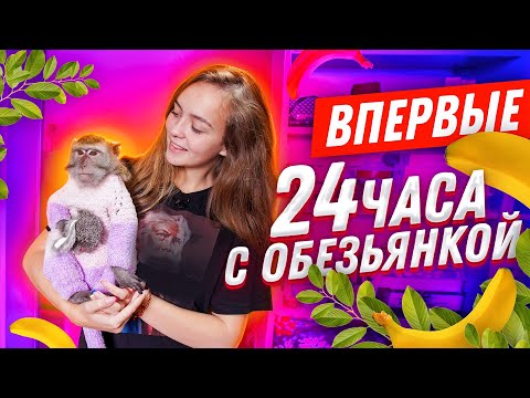 Видео: ВПЕРВЫЕ: ОБЕЗЬЯНА ДОМА! // ДОВЕЛА КОШКУ ДО ИСТЕРИКИ