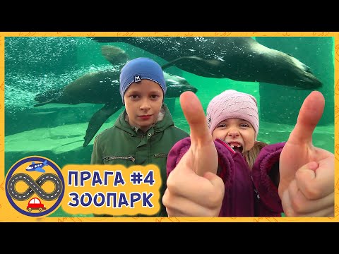 Видео: Пражский зоопарк. Мы в шоке!
