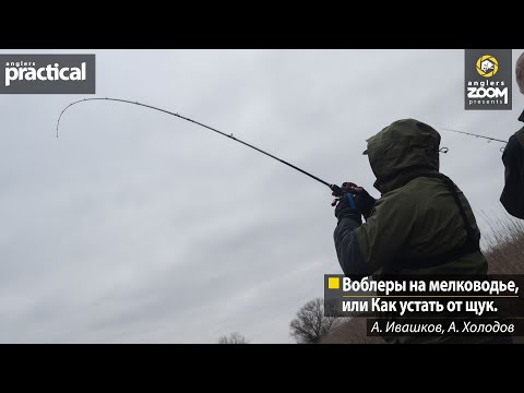 Видео: Воблеры на мелководье, или Как устать от щук. А. Ивашков, А. Холодов. Anglers Practical