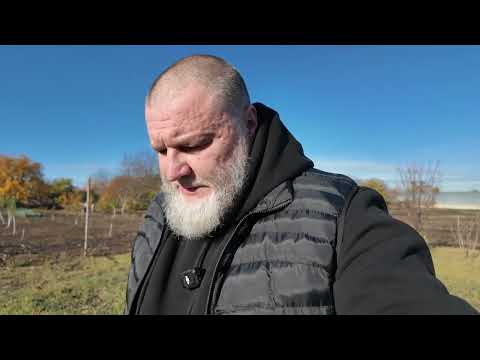 Видео: Странная исповедь