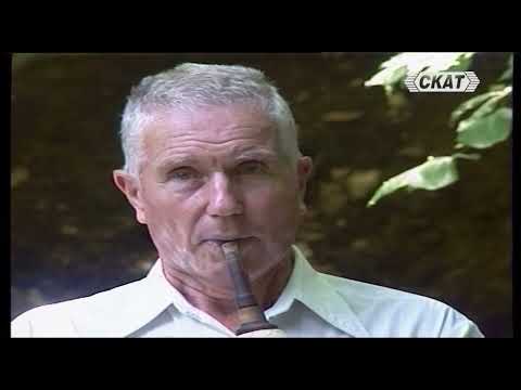 Видео: Странджанска гайда