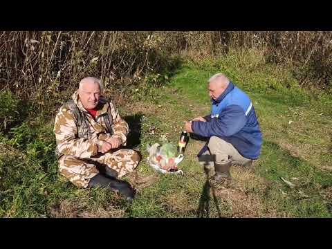 Видео: Рыбалка на реке Ясельда с другом.
