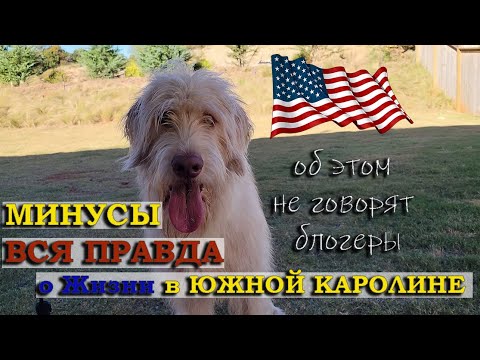 Видео: Минусы Южной Каролины /  Жизнь в США