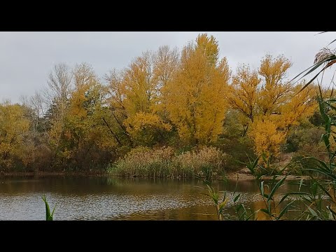 Видео: НAТАЛИ_NATALI в прямом эфире!