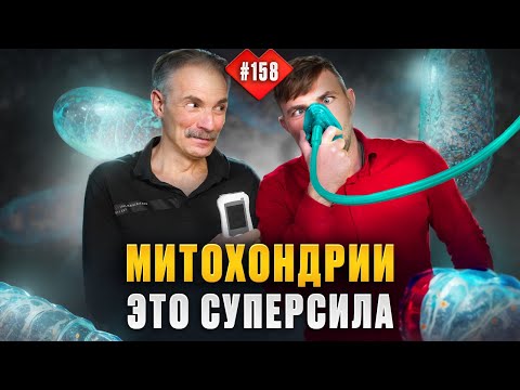 Видео: Как прокачать митохондрии на 100% и взорвать выносливость