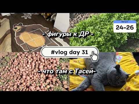 Видео: Делаю фигуры к др 👧🏼| сушка зелени 🌿| выкопали картошку 🥔| что же там с Тасей🐈‍⬛