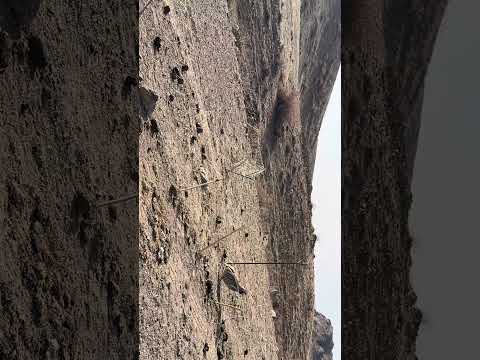 Видео: 29 октября 2025 г.