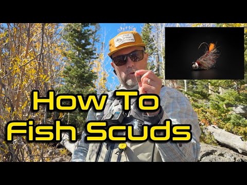 Видео: Боксер = форелевые конфеты! Как эффективно ловить их в озёрах