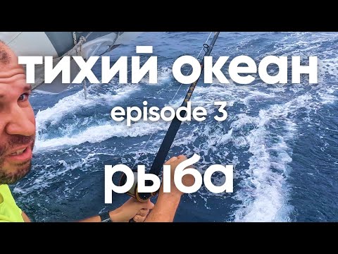 Видео: Тихий океан встречаем китов и ловим рыбу эпизод 23