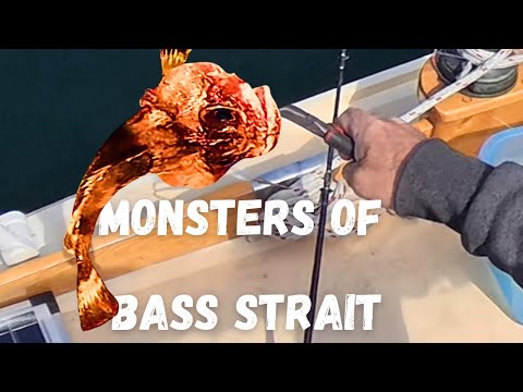 Видео: Рыбалка в Бассовом проливе | Просто рыбалка или все-таки ловля?