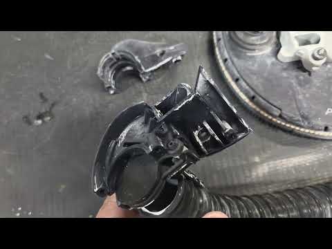 Видео: Жираф фестул