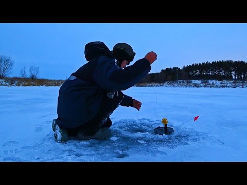 Видео: ВОТ ЭТО МНЕ ПОВЕЗЛО! АКТИВНЫЙ КЛЁВ РЫБЫ! Рыбалка на мормышку и жерлицы 2024.