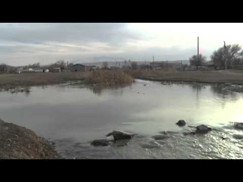 Видео: Абай - "Күз".