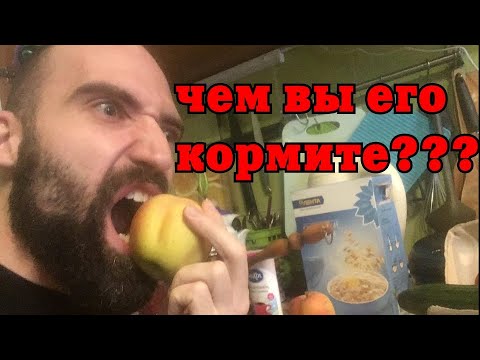 Видео: Мой РАЦИОН - ЧТО я ем и почему?