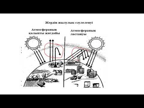 Видео: 9 класс. Биология. Жылыжай эффектісі