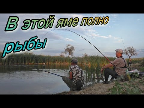 Видео: В этой яме полно рыбы! Сом щука карась линь всё на одну удочку Уилский р он  Актобе 2025г