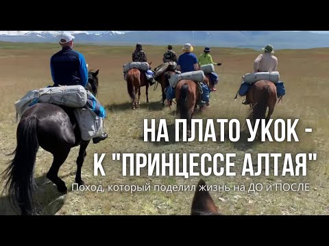 Видео: На конях на плато Укок к "Принцессе Алтая" - место суровое, но красивое.