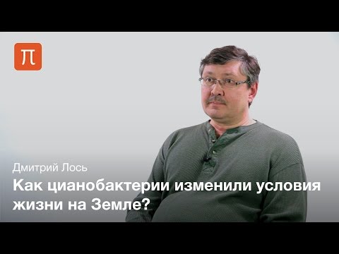 Видео: Сенсорные системы цианобактерий - Дмитрий Лось
