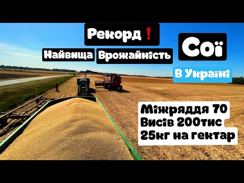 Видео: Сказать що я вражений?це нічого не сказать.МУСТАНГ шокував врожайністю😱