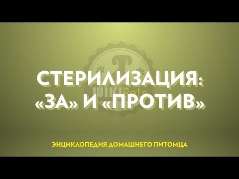 Видео: Стерилизация (часть 1): "за" и "против".