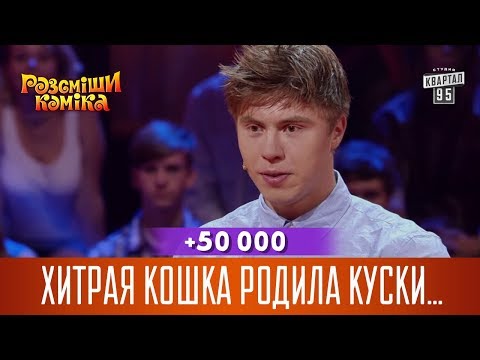 Видео: +50 000 - Хитрая кошка родила куски пенопласта