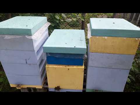 Видео: Коротко про все, робота з 8-ми рамочниками.