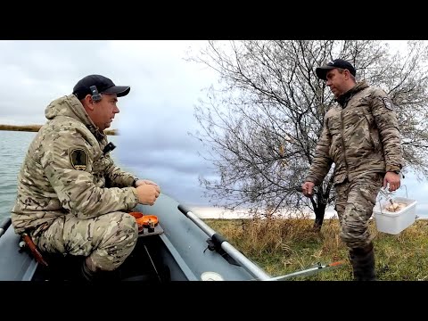 Видео: Рыбы нет, но есть грибы!!!