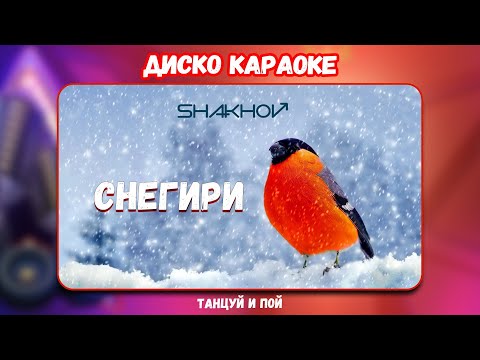 Видео: SHAKHOV - Снегири [ДИСКО КАРАОКЕ - СЛУШАЙ И ПОЙ]