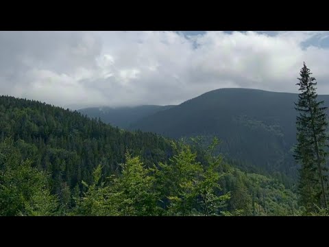 Видео: Прогулка по осеннему парку.