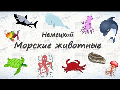 Видео: Морские животные на немецком.